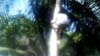 PICT0094